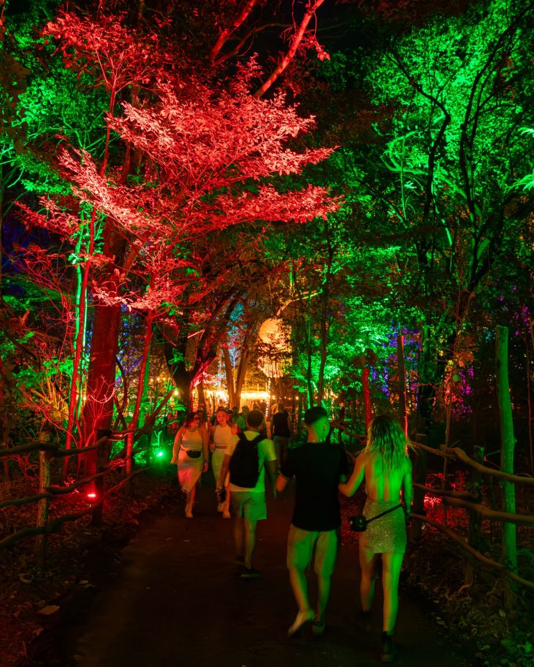 The BPM Festival Costa Rica 2025 Announces New Management, Location, & Dates