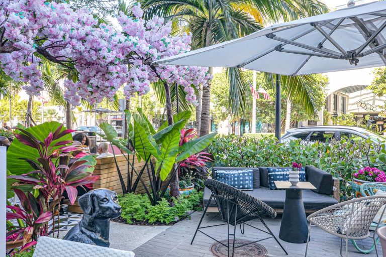 El Pation miami Beach Ambiance