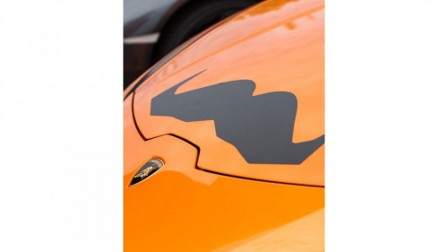 Lamborghini-for-Movember