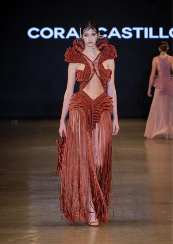 DSC 8020 Pm68BJD4