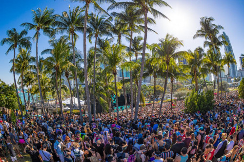 Highlights from Saturday Ultra