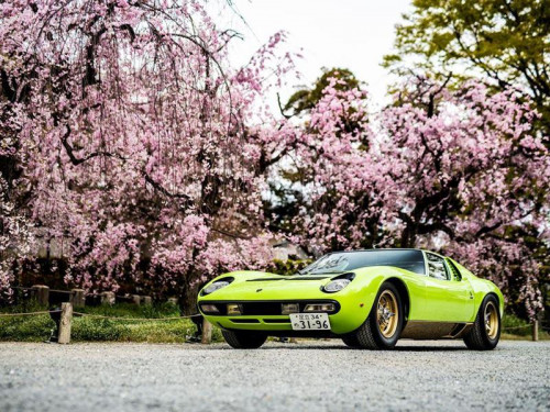 Miura SV(1971), Best Lamborghini, Concorso d'Eleganza Kyoto 2019 - Credit Remi Dargegen